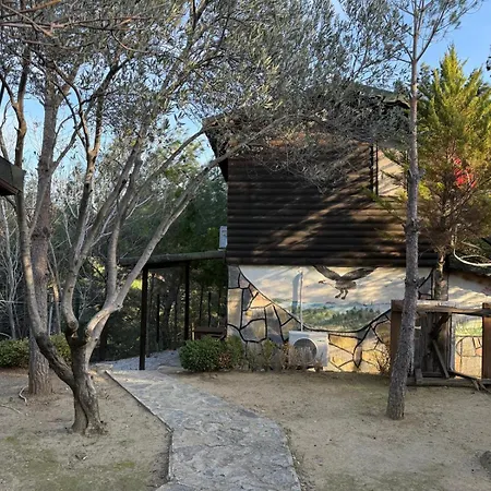 Jippe ıda Edremit (Balikesir)