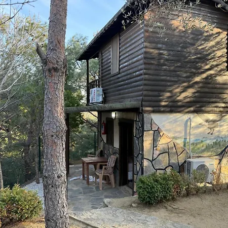 Oda ve Kahvaltı Jippe ıda