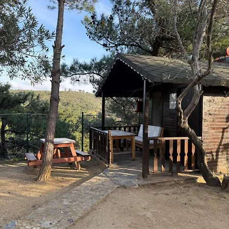 Bed & Breakfast Jippe Ida *