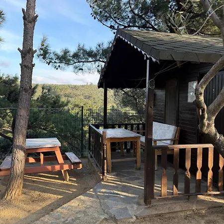 Bed & Breakfast Jippe Ida Edremit (Balikesir)